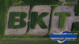 Ελαστικά τρακτέρ 380/70R24 BKT AGRIMAX RADIAL Στασινόπουλος 4