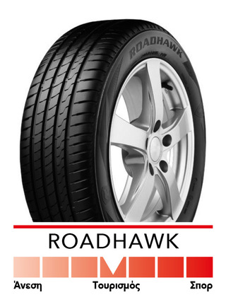 ΕΛΑΣΤ 205/60 R15 91V RHAWK