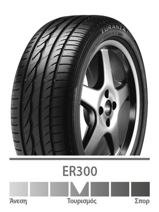 ΕΛΑΣΤΙΚ 195/55 R16 ER300A V RU