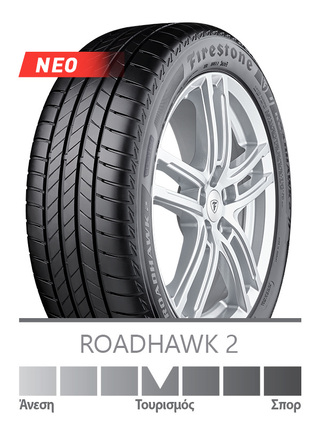 ΕΛΑΣΤ 205/55 R16 91V RHAWK2
